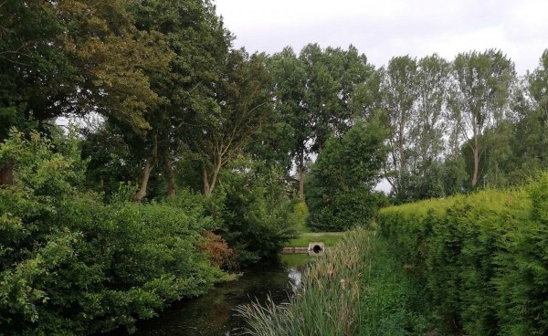 Camping Alkmaar — Photo 3