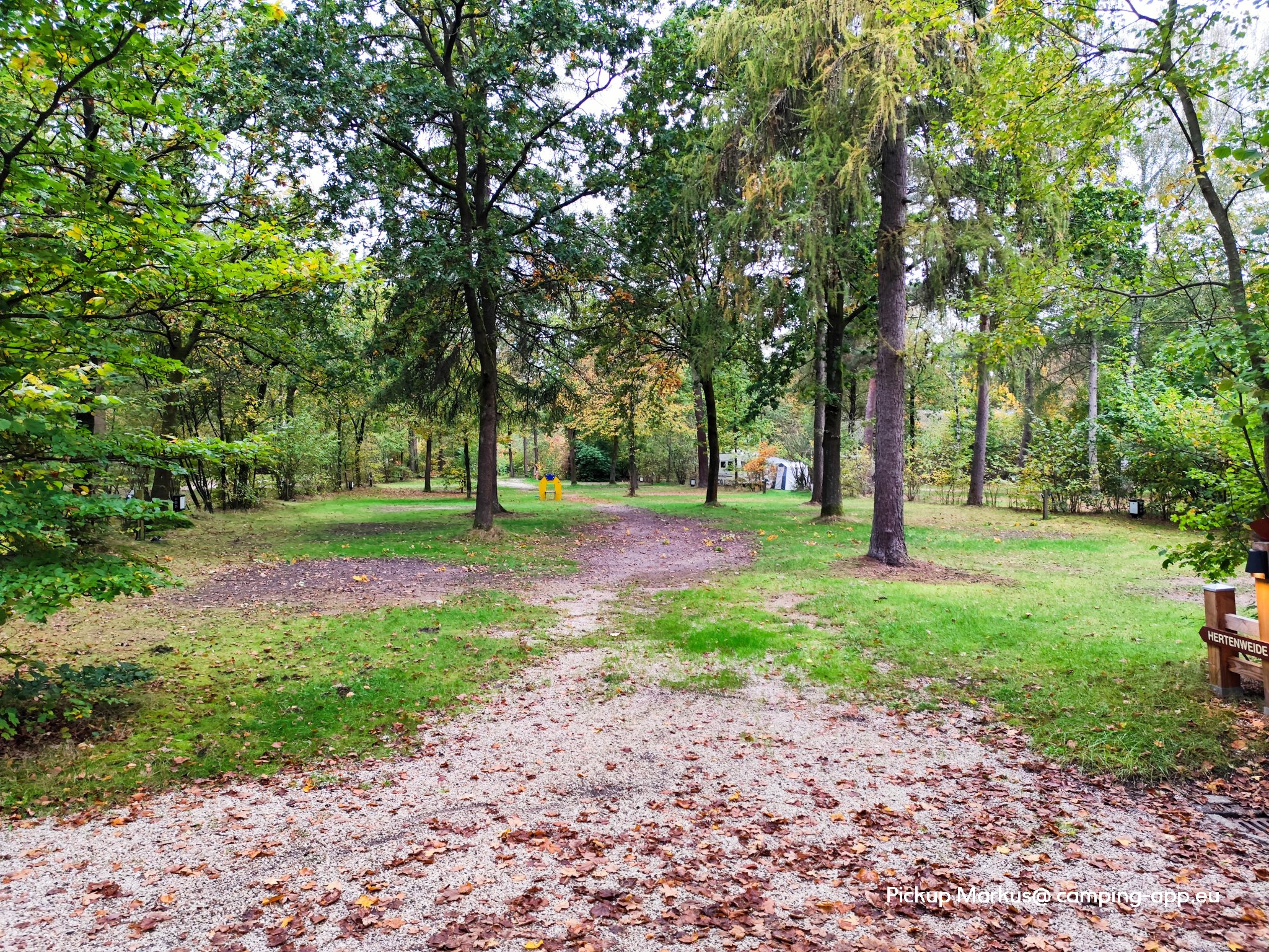 Camping De Wildhoeve — Фото 2