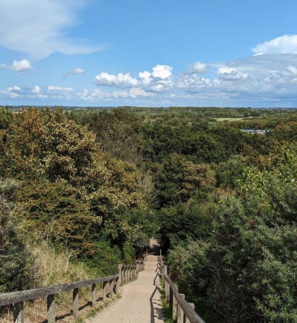 Strandcamping Valkenisse — Photo 3