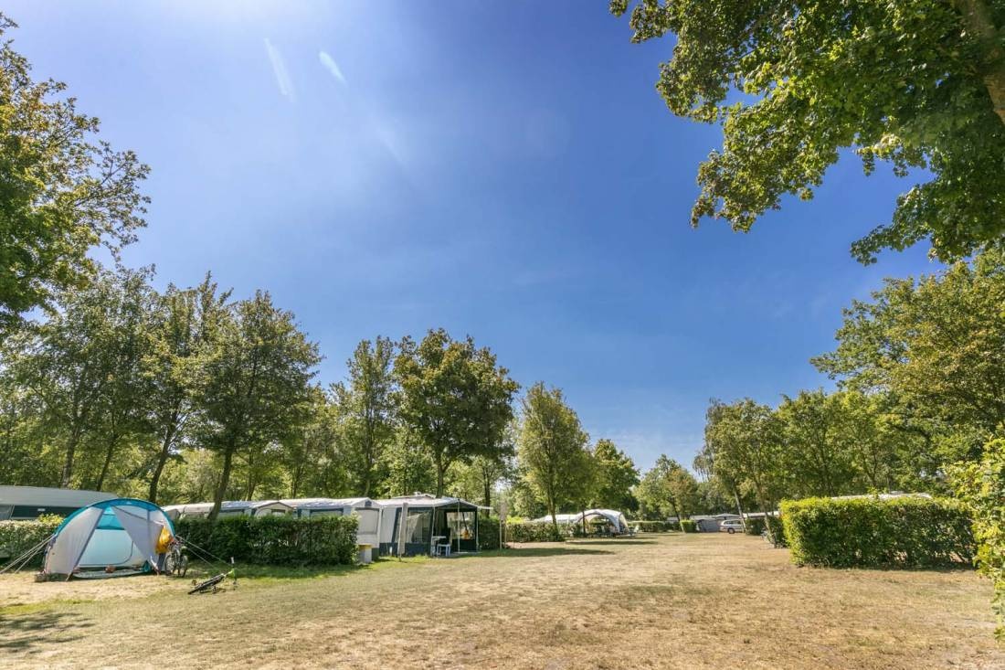 Vakantiepark De Bergen — Campingplads in Wanroij / Noord-Brabant