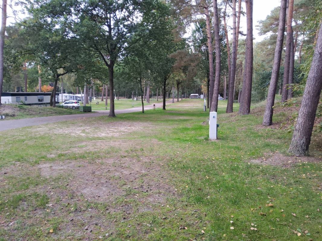 Camping en Speelpark De Heldense Bossen — Campingplatz in Helden / Limburg