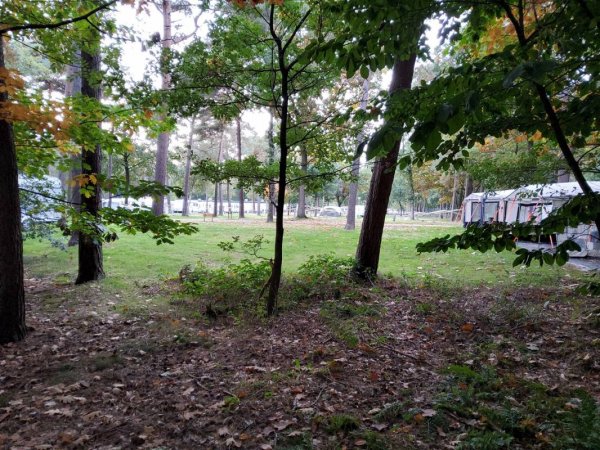 Camping en Speelpark De Heldense Bossen — Photo 3