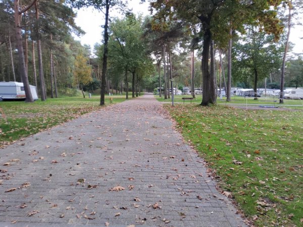 Camping en Speelpark De Heldense Bossen — Photo 5