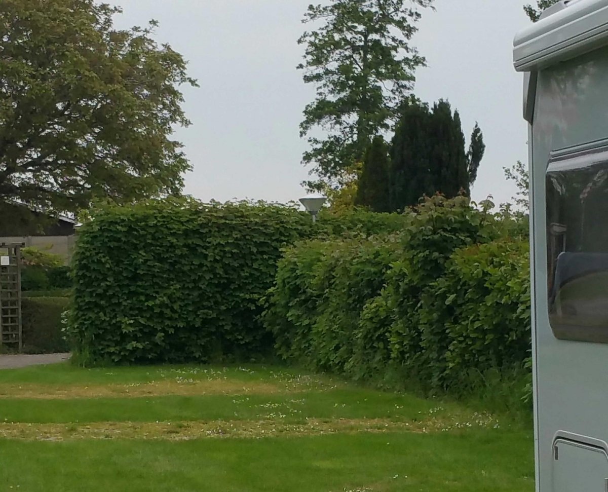 Camping Schippers — Campingplatz in Nieuwvliet-Bad