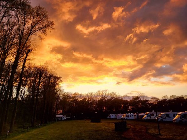 Camping Roland — Photo 3