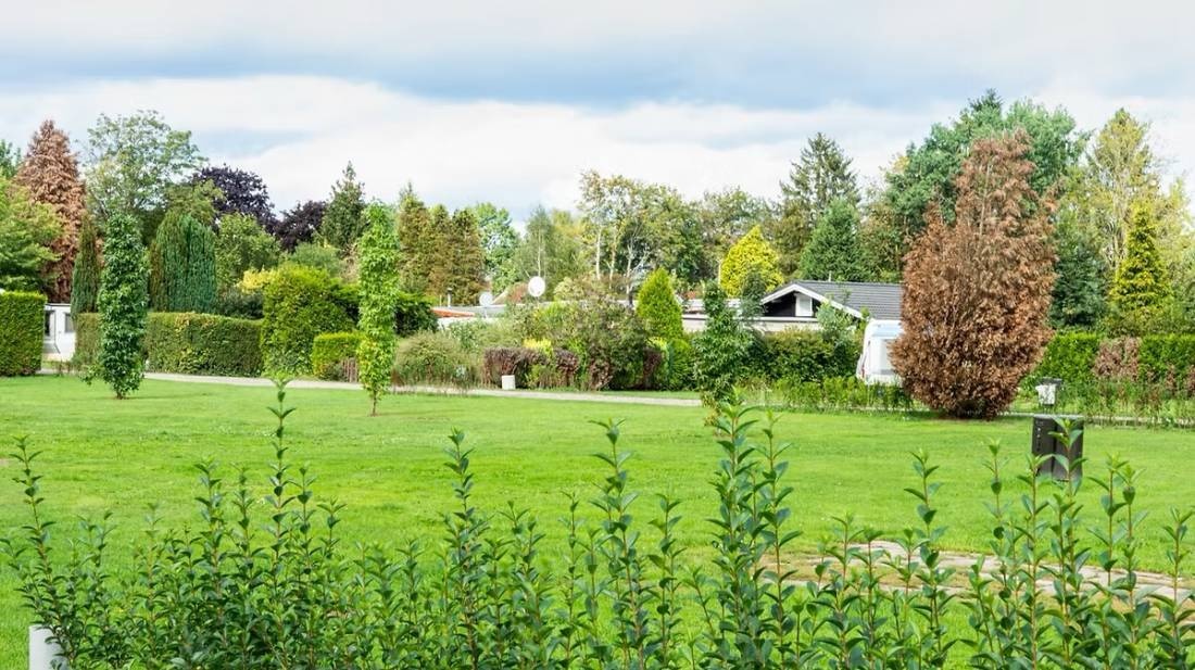 Recreatiepark De Byvanck — Sítio de acampamento in Beek (gem. Bergh) / Gelderland