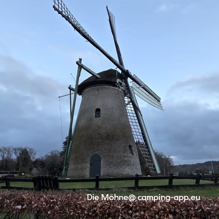 Kampeerterrein Buitenduin — Photo 2