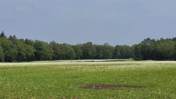 Camping De Couwenberg — Fotografie 5
