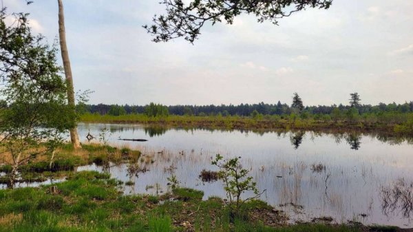 Camping De Couwenberg — Photo 5