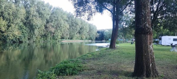 Vakantiepark EuroParcs Het Amsterdamse Bos — Foto 4