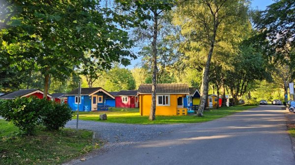 Vakantiepark EuroParcs Het Amsterdamse Bos — Photo 2