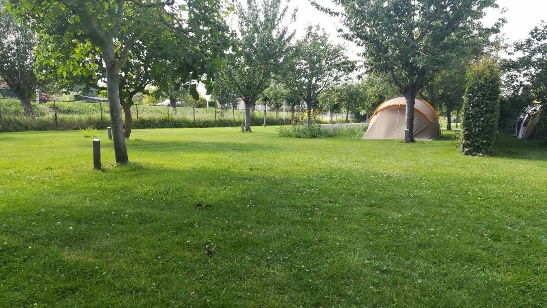 Camping Wulpen — Campingplatz in Cadzand
