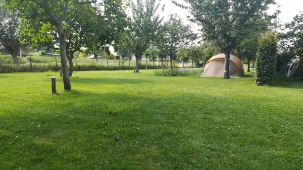 Camping Wulpen — Foto 2