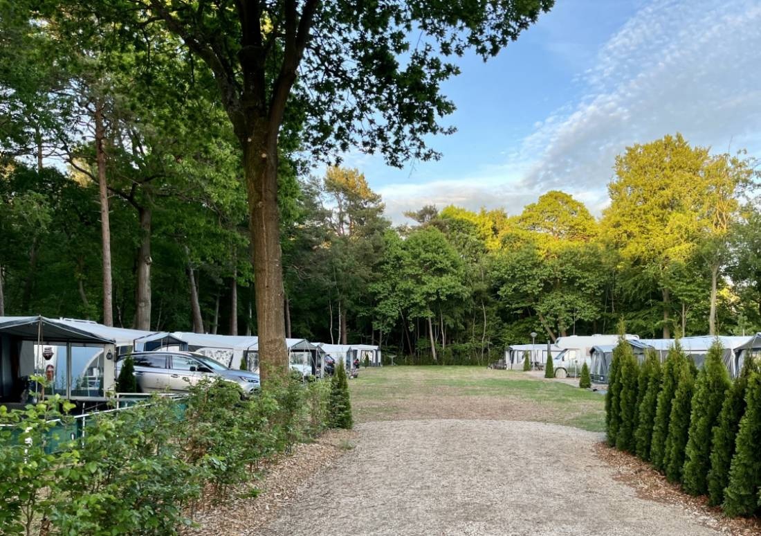 Camping De Zandkuil — Kamp yeri in Heerde / Gelderland