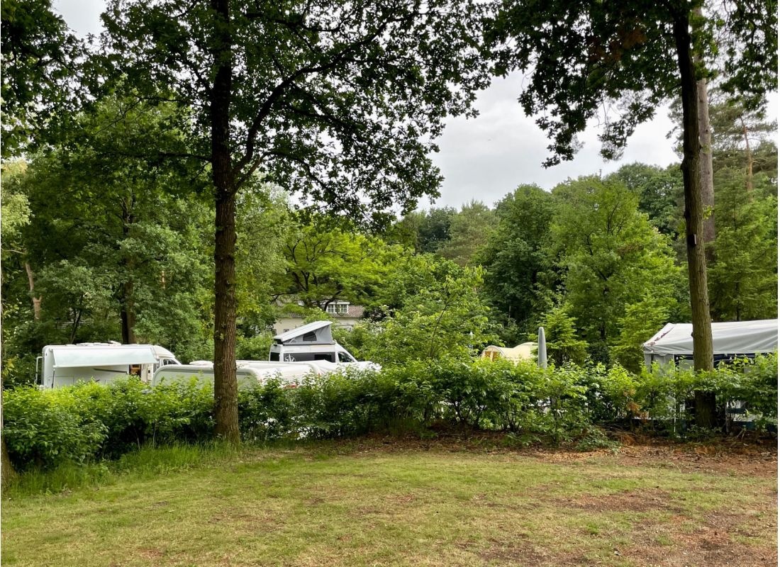 Camping de Wapenberg — Camping Site in Ugchelen
