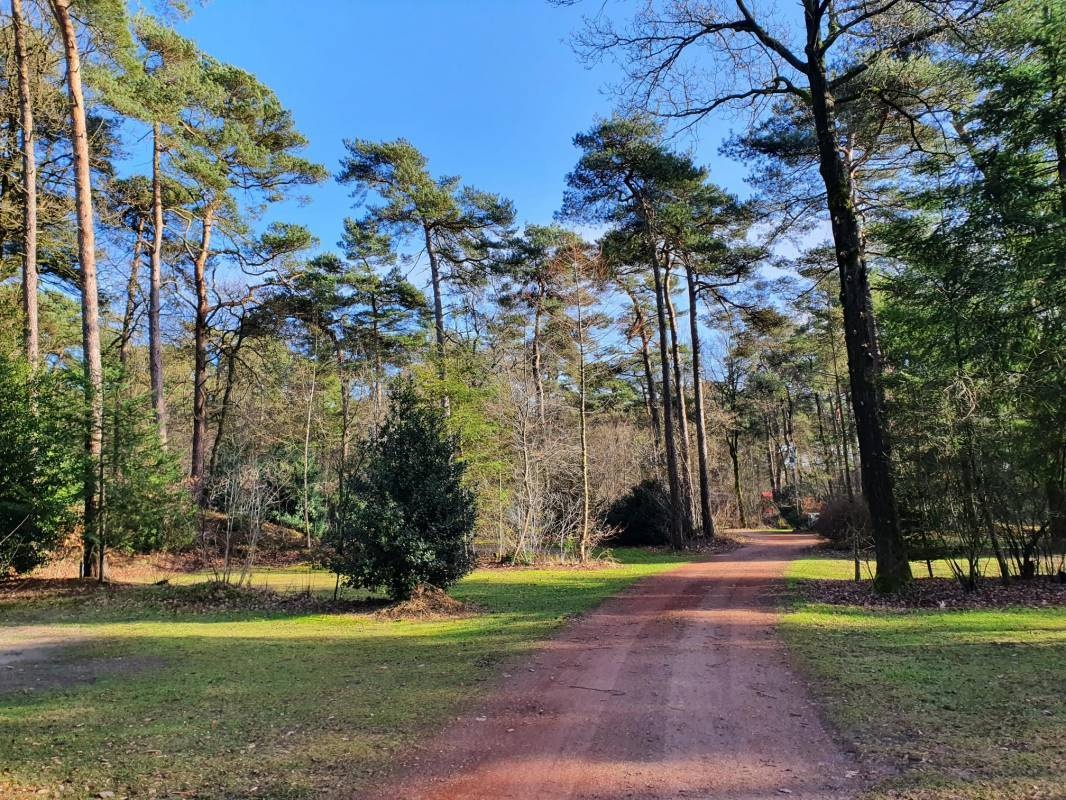 Camping Diever — Camping in Diever / Drenthe