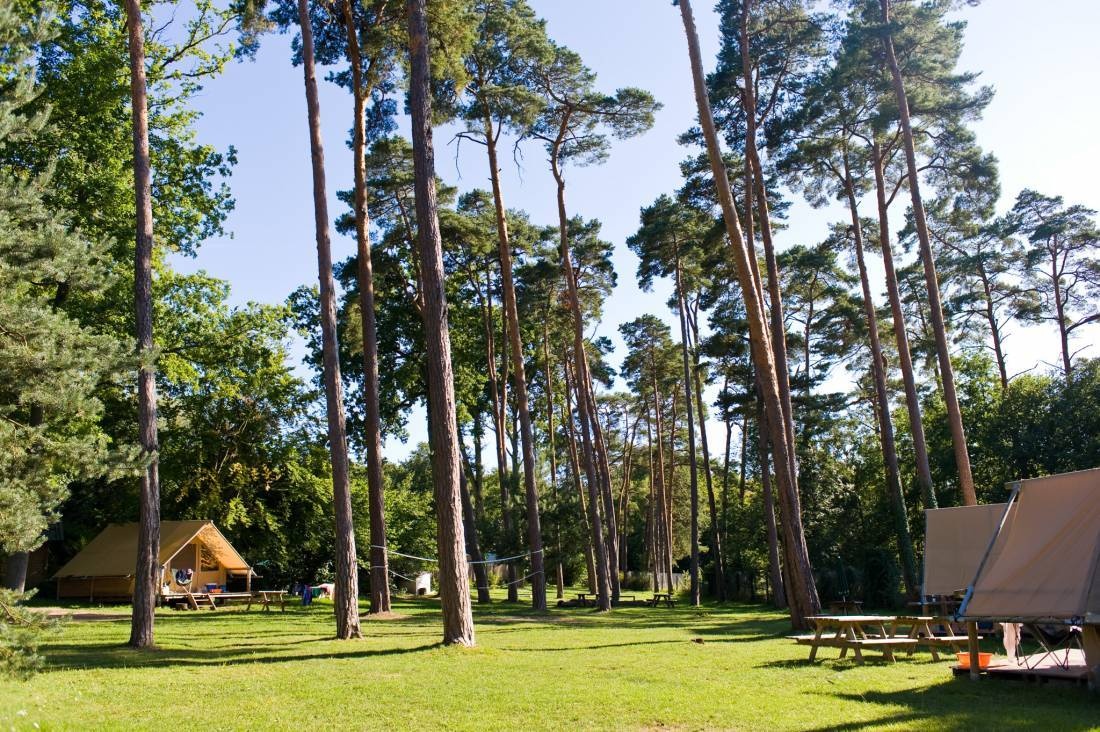 Huttopia de Veluwe — Campingplatz in Kootwijk