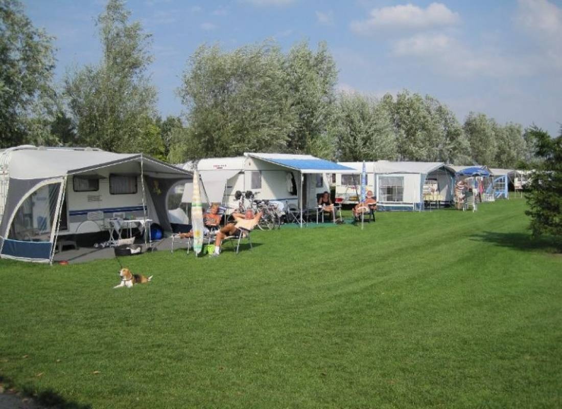 Camping De Sprink — Campingplatz in Mierlo / Noord-Brabant