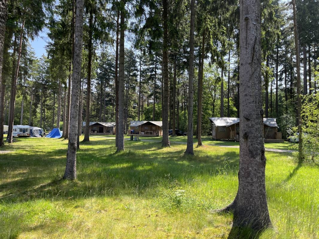 Camping Torentjeshoek — Campingplatz in Dwingelo0