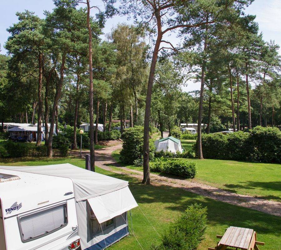 Camping Zuid Ginkel — Campingplatz in Ede