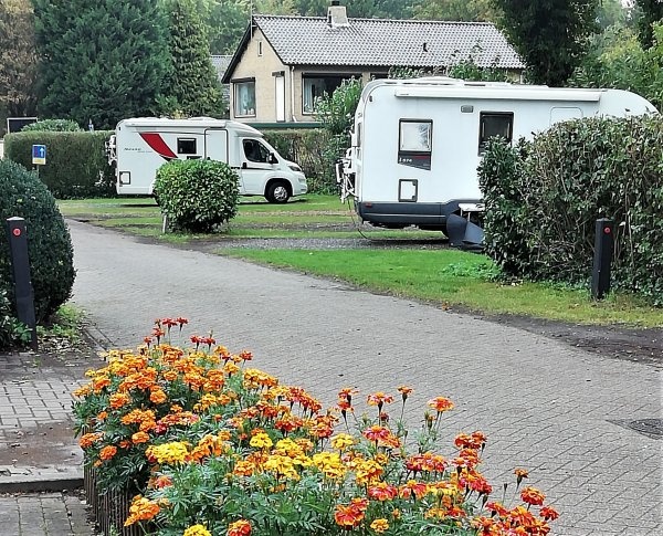Camping Uit en Thuis — Campingplatz in Bergen op Zoom