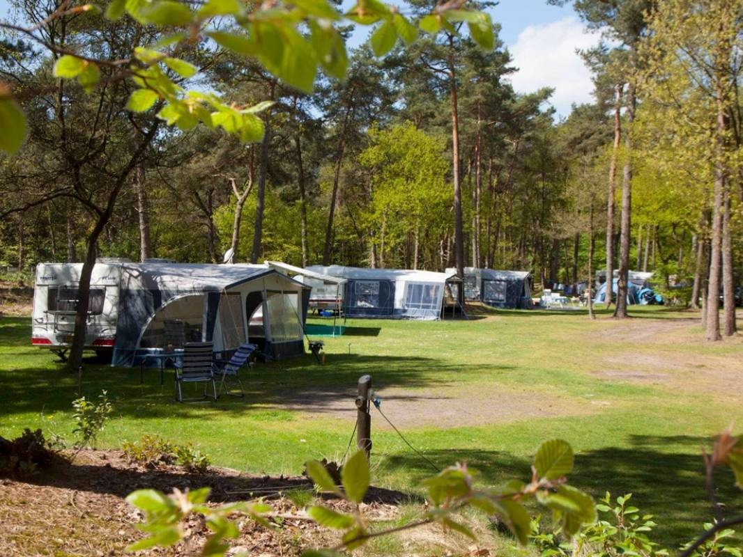 RCN Het Grote Bos — Cámping in Doorn