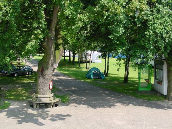 Hitjesvijver Camping — Photo 2