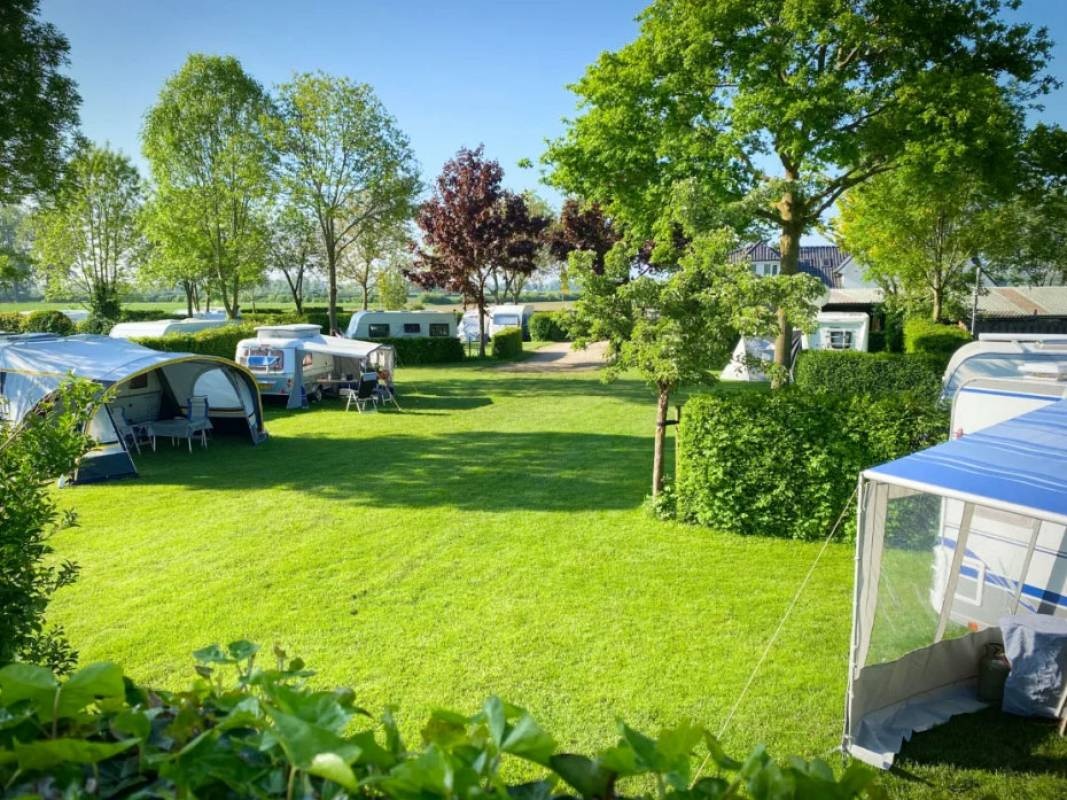 Buitenplaats De Rijnstrangen — Campingplatz in Aerdt