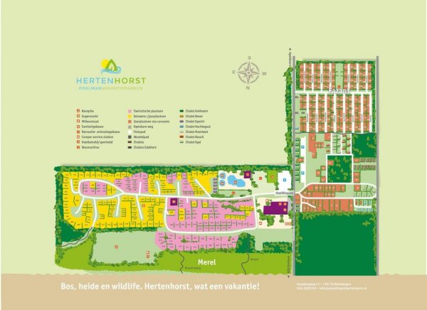 Vakantieparken Hertenhorst — Photo 4