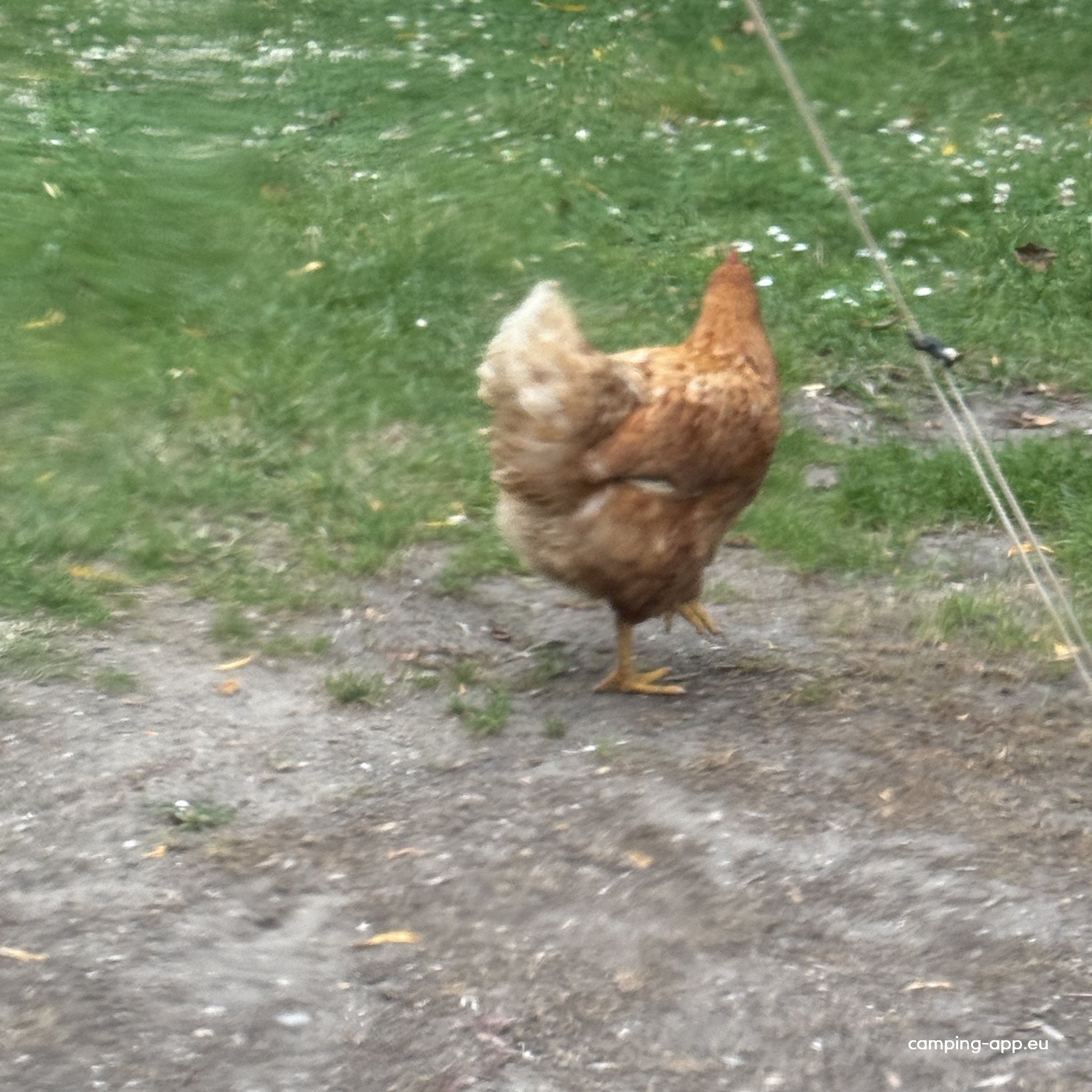 Ons Buiten — Foto 3