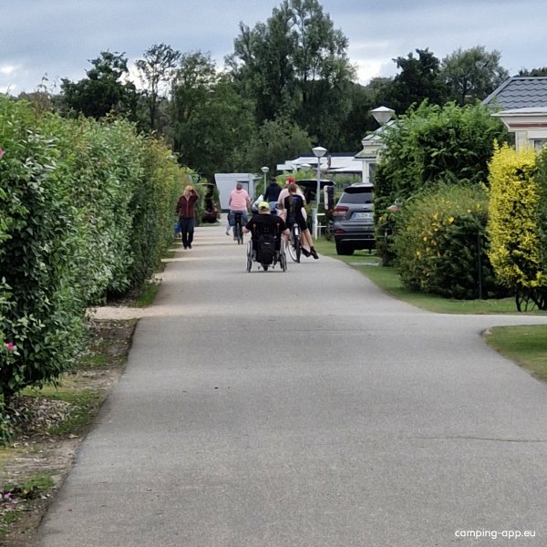 Strandcamping De Zwinhoeve — Fotografie 4
