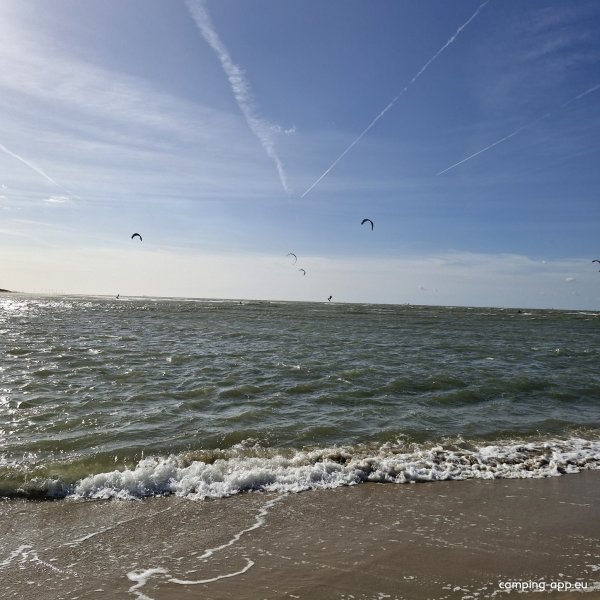 Strandcamping De Zwinhoeve — Fotografie 5