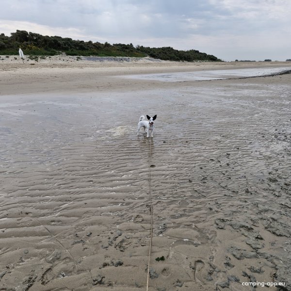 Strandcamping De Zwinhoeve — Fotografie 2