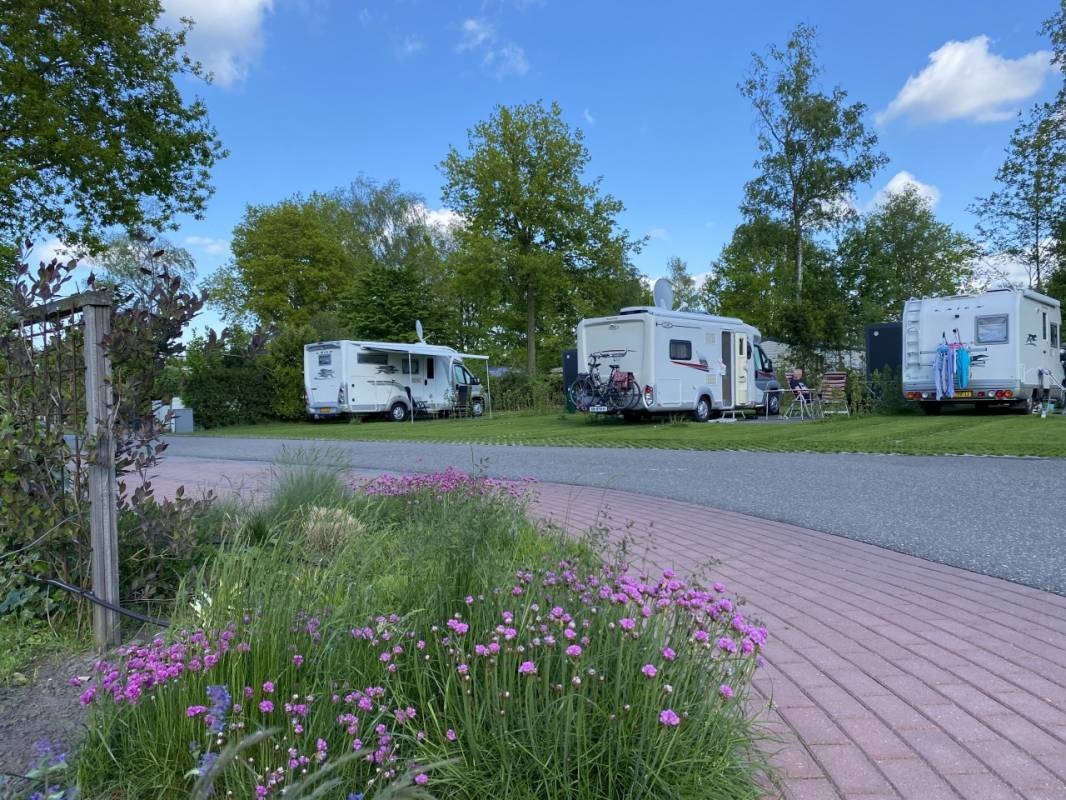 Ardoer Holiday Rheezerwold — Camping in Hardenberg/Heemserveen / Overijssel