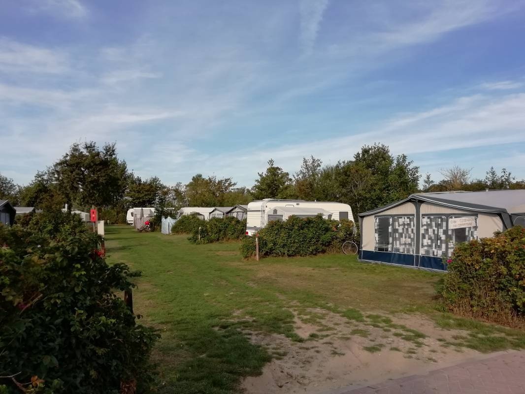 Ardoer Camping Ginsterveld — Campingplatz in Burgh-Haamstede