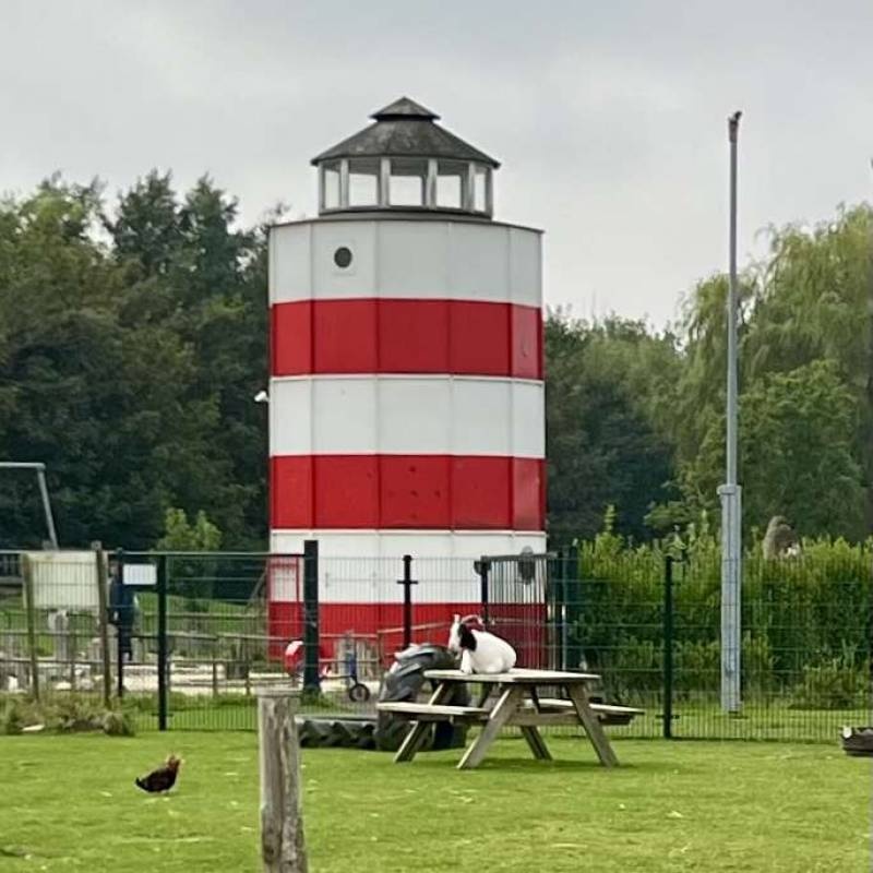 Camping International — Campingplatz in Nieuwvliet