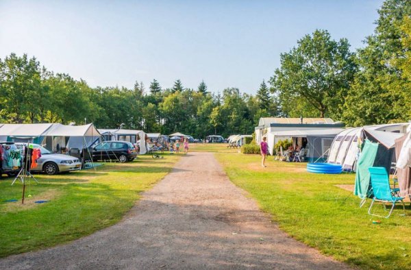 Veluwe Park de Bosgraaf — Photo 2