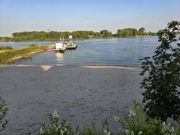 Camping Waalstrand — Photo 6