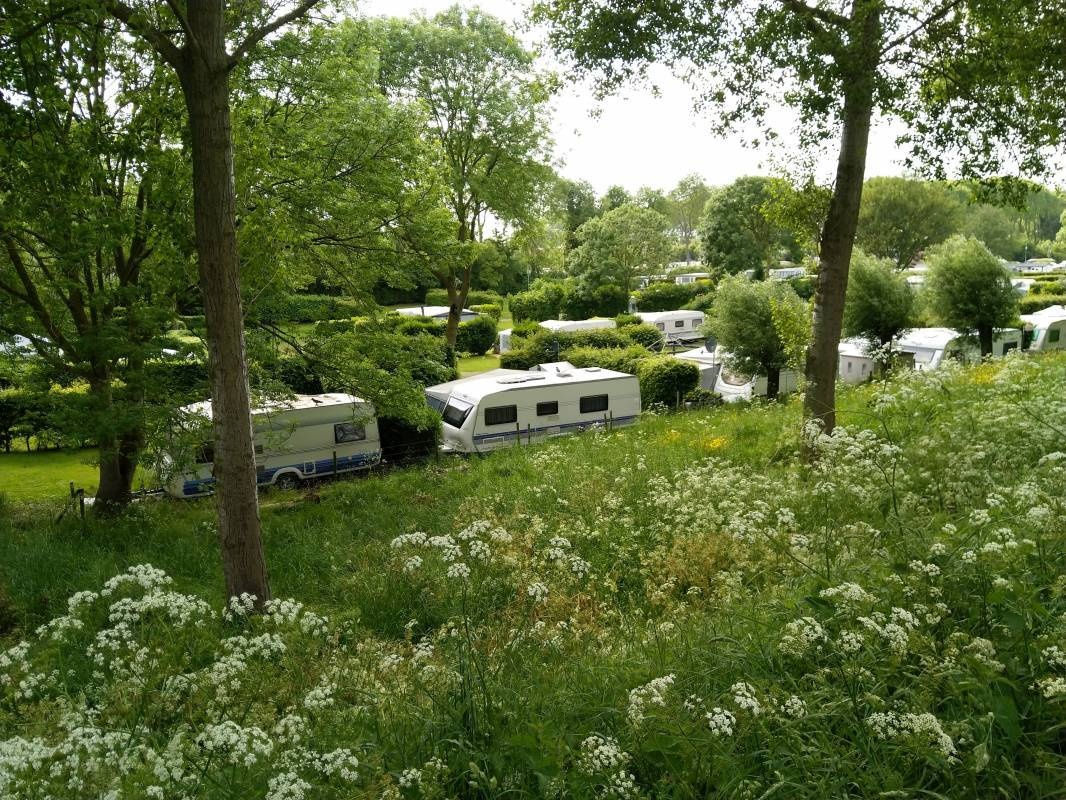 Camping De Meidoorn — Campingplatz in Sluis