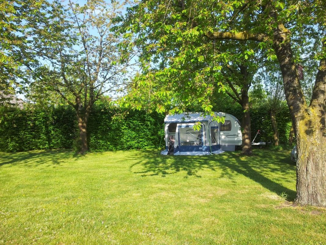 Minicamping de Ganzenhof — Campingplatz in Bladel / Noord-Brabant