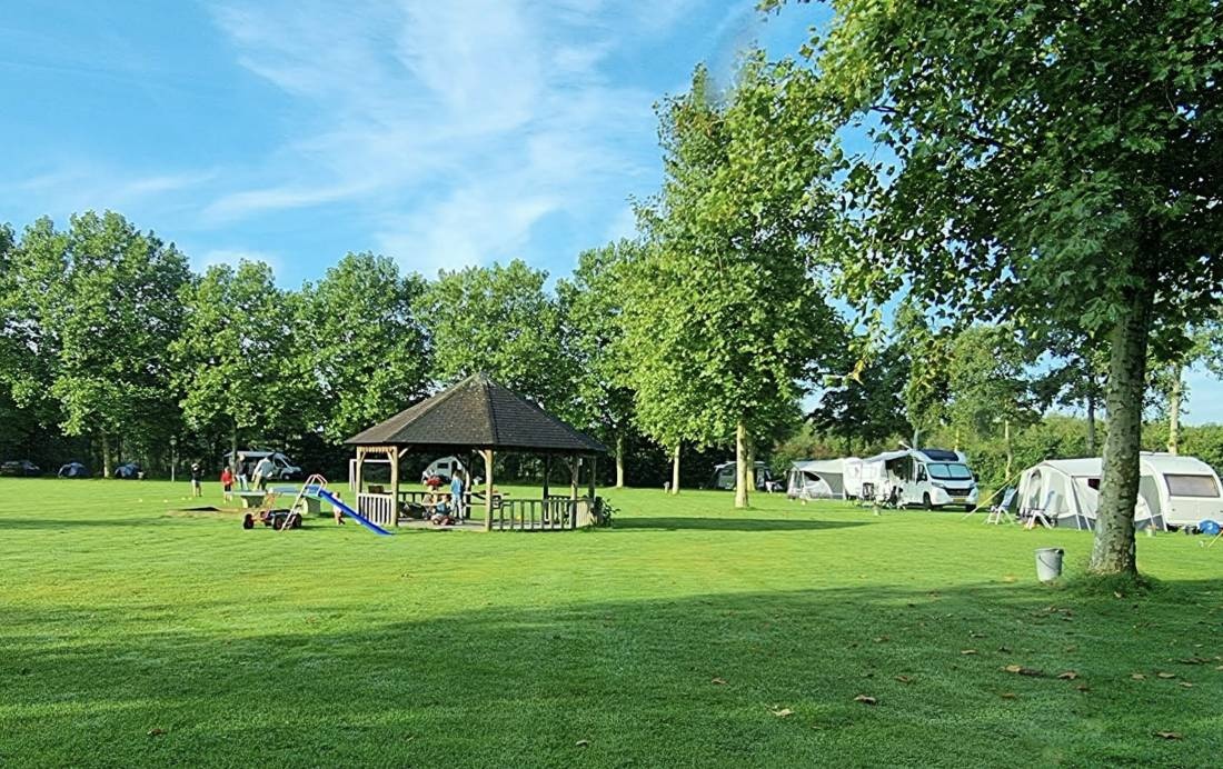 Tureluur — Kemping in Netersel / Noord-Brabant