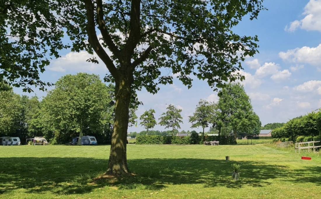 Tureluur — Campingplatz in Netersel / Noord-Brabant