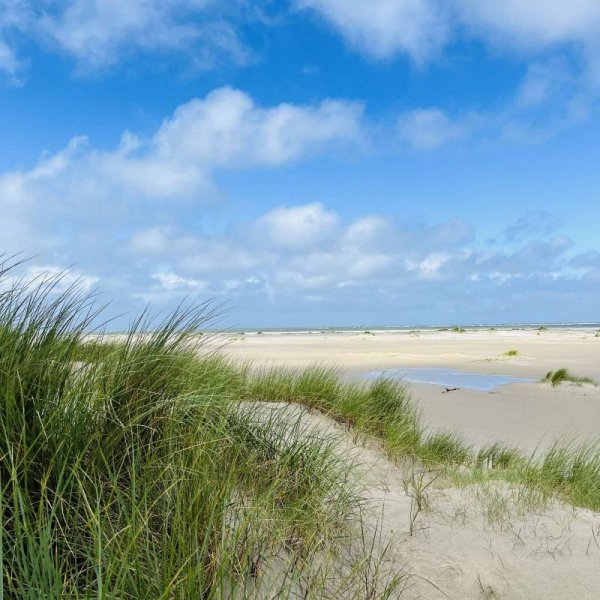 Camping De Duinhoeve — Photo 2