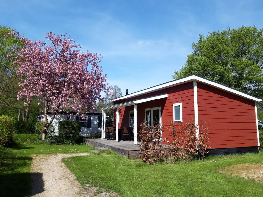 Delftse Hout — Campingplatz in Delft / Zuid-Holland