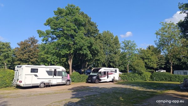 Delftse Hout — Foto 5