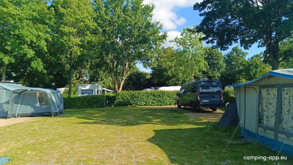 Delftse Hout — Foto 6