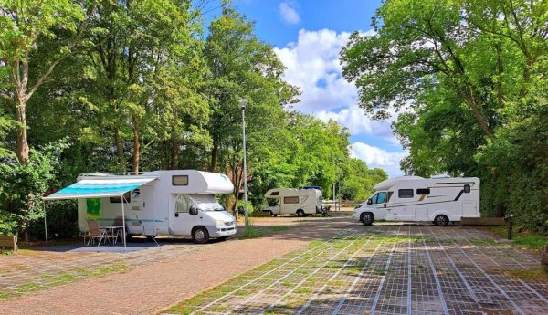 Delftse Hout — Photo 3