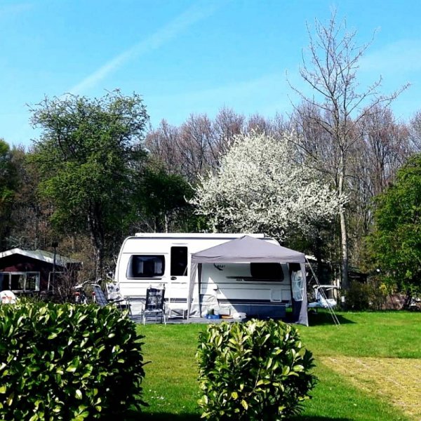 Delftse Hout — Photo 2