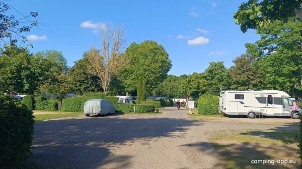 Delftse Hout — Foto 4
