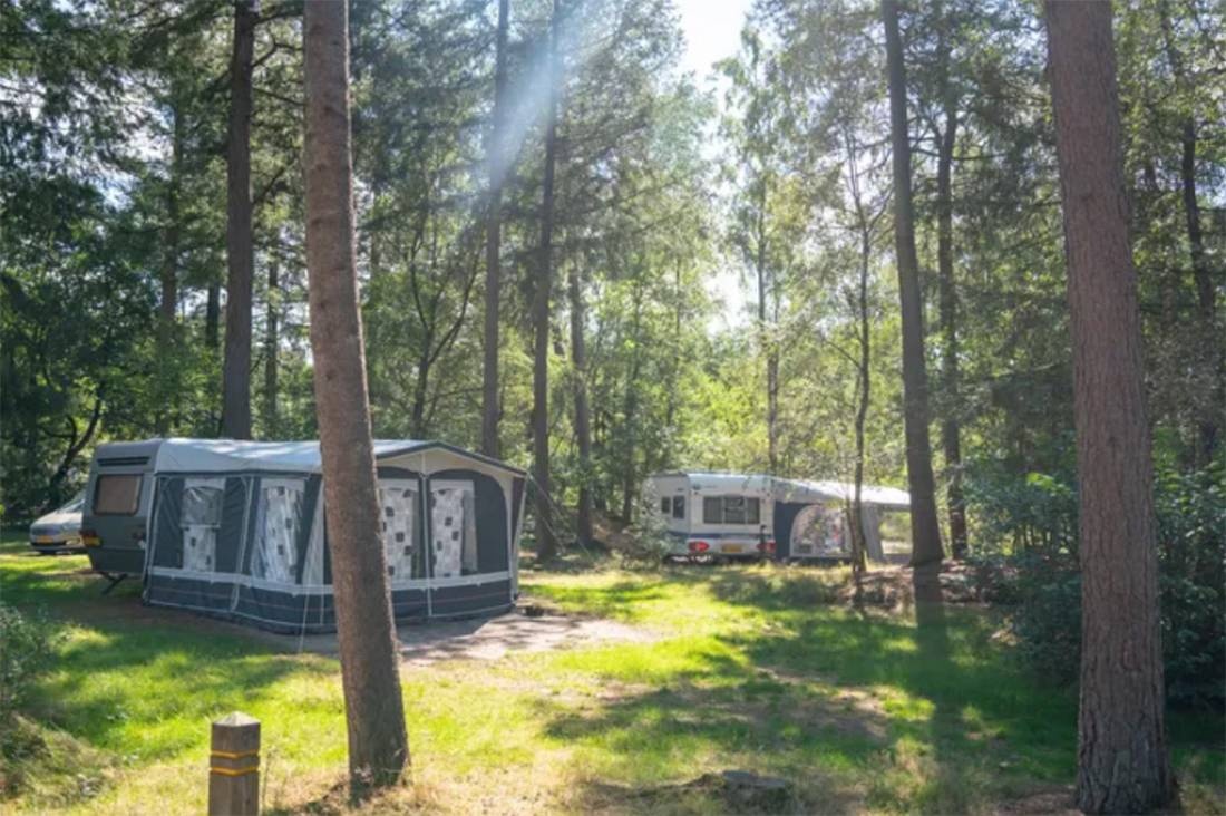 Landal Rabbit Hill — Campingplatz in Nieuw-Milligen